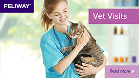 Expert Q&A: How to ease your cat's worries during a visit to the vet