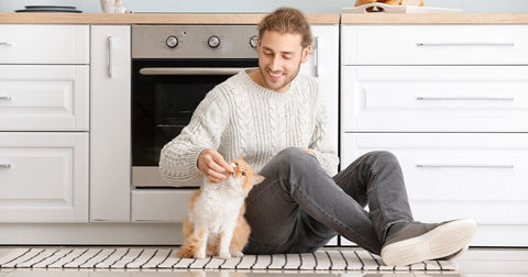 24 Tips to Help Outdoor Cats Adjust Being Indoors