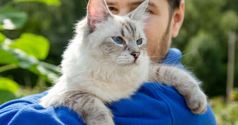 9 Facts You Didn't Know About Siberian Cats