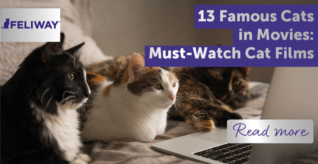 13 Famous Cats in Movies: Must-Watch Cat Films