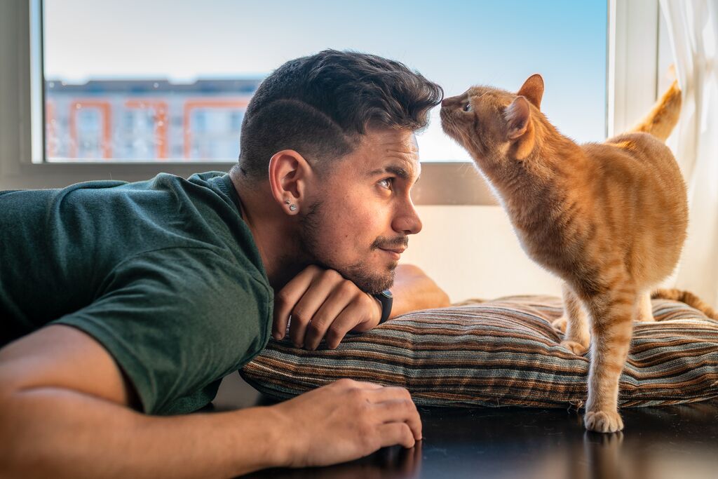 Tips and Tricks To Call Your Cat Back Home
