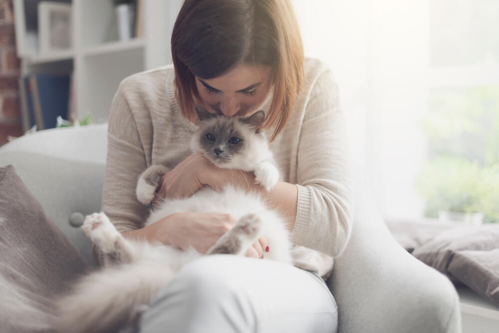 How Can You Calm An Anxious Cat?