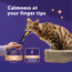 Happy Snack by FELIWAY