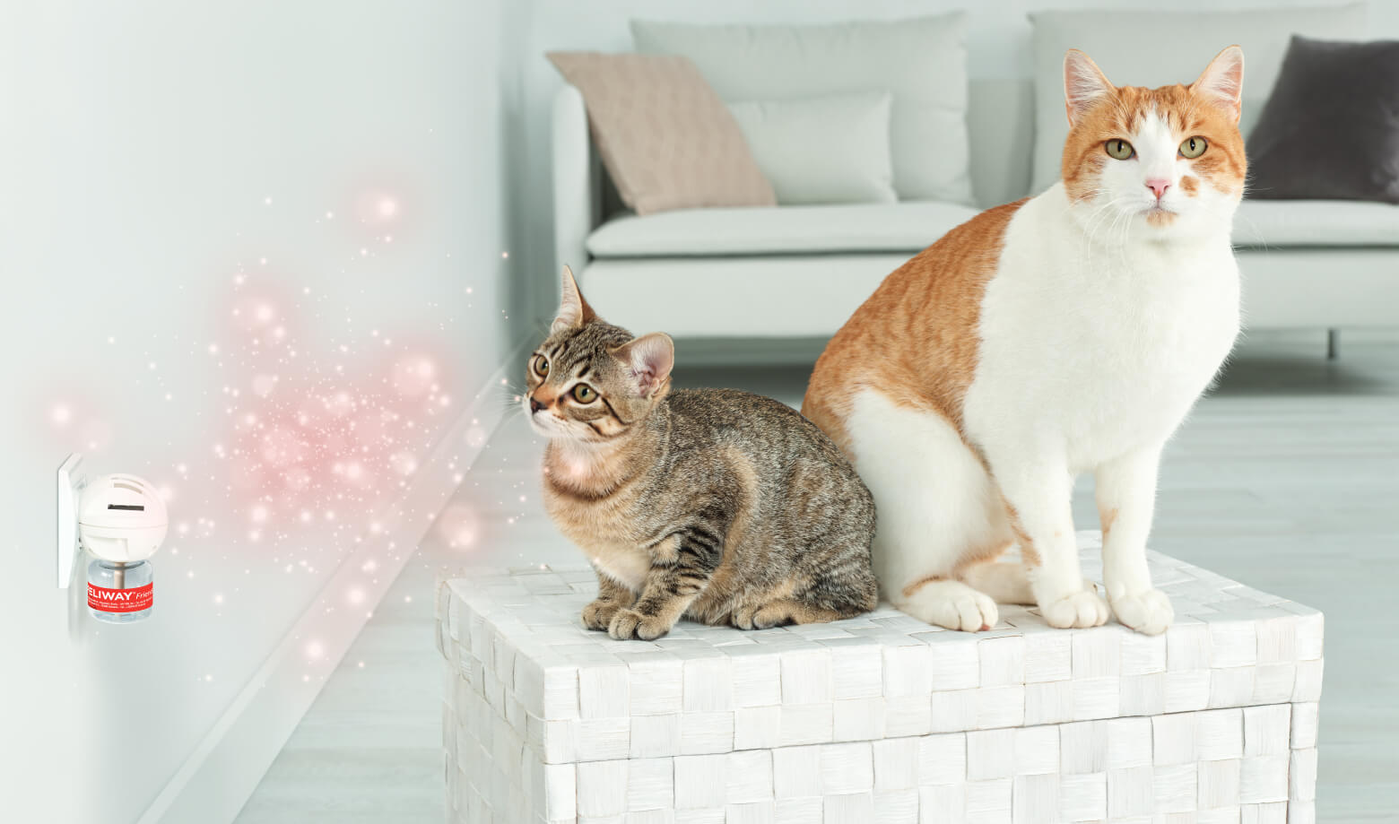 FELIWAY AUSTRALIA